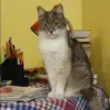 Отзыв от Динара Лапшина